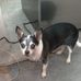 Profile Picture of Steve Harris (@steve.harris.75054689) on Facebook