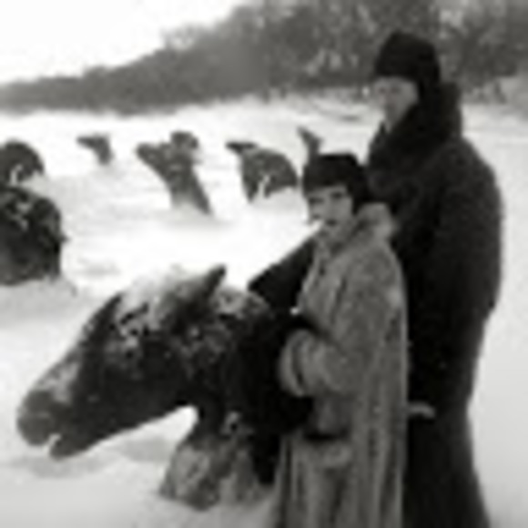 Profile Picture of John Harrell (@johnharrell490) on Poshmark