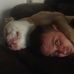 Profile Picture of Barry McDougall (@barry.mcdougall.921) on Facebook