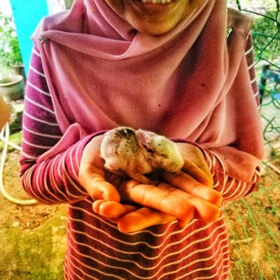 Profile Picture of 𝑵𝒖𝒓𝒖𝒍 𝑯𝒖𝒅𝒂 𝑵𝒂𝒃𝒊𝒍𝒂 𝑯𝒂𝒎𝒅𝒂𝒏 (@nuhuna91) on Twitter
