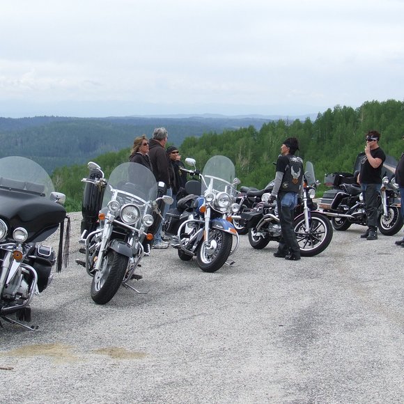 Profile Picture of Carol Anglesey (@carollarryhome) on Poshmark