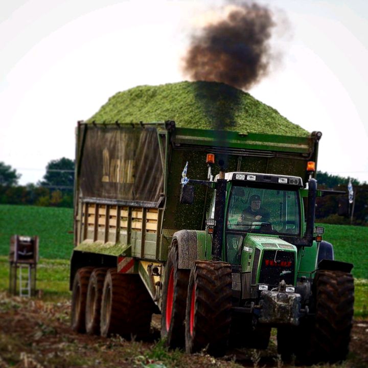 Profile Picture of Güllebaron🚜🚜💩💩 (@michaelscheibler2) on Tiktok