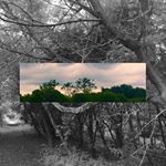 Profile Picture of Thomas Kevin McLachlan (@phototkmgraphy) on Instagram