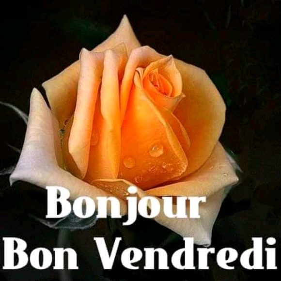 Profile Picture of Lyonnette Denis (@dordotte1) on Poshmark