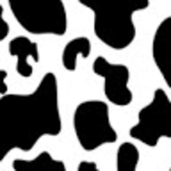 Profile Picture of Adrian Chandler (@adrianchandl531) on Poshmark