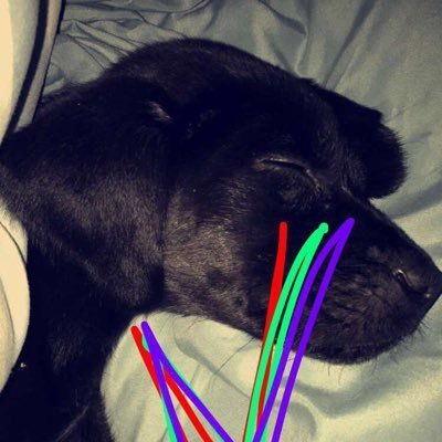 Profile Picture of Travis Pate (@tpate03) on Twitter