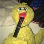 Profile Picture of James (@pickle_rick127) on Instagram