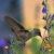 Profile Picture of Nancy Hazlett Freimuth (@nhazlett1) on Pinterest