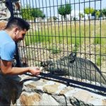 Profile Picture of antonio gallego (@antonio_gallego_21) on Instagram