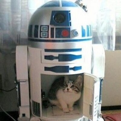 Profile Picture of Adam Plunkett (@ihisatsu) on Twitter