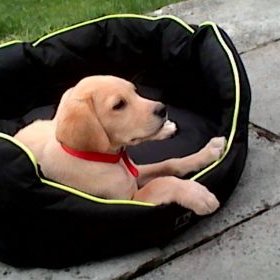 Profile Picture of Jay Corrigan (@JayCorrigan10) on Twitter