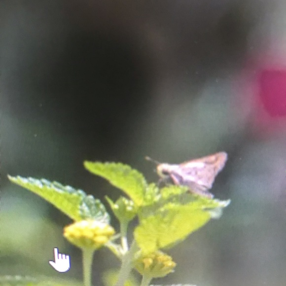 Profile Picture of Christopher Adkins (@christophera330) on Poshmark