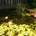 Profile Picture of Mark (@markbaylor01) on Instagram