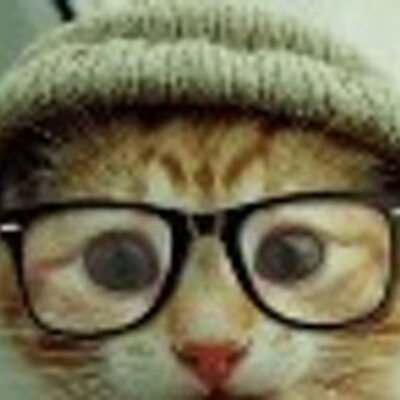 Profile Picture of Sarah Campbell (@jesus1istheway) on Twitter