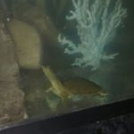 Profile Picture of daniel rossetti (@rossetti4937) on Instagram