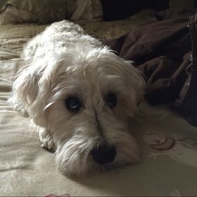 Profile Picture of Aaron Krull (@aaronkrull) on Pinterest