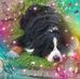 Profile Picture of Janet Pohl (@janet.pohl.338) on Facebook