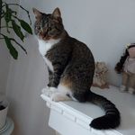 Profile Picture of Andrei Lipkin (@andrei.lipkin78) on Instagram