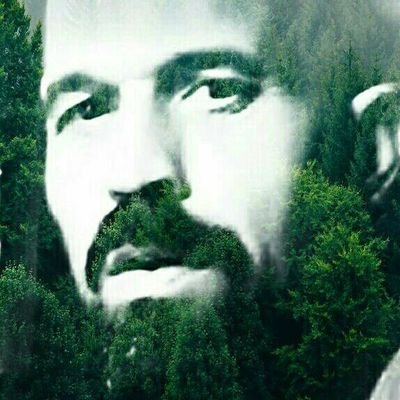 Profile Picture of 🌳Jay The Tree Climber🌳 (@JayDaTreesh) on Twitter