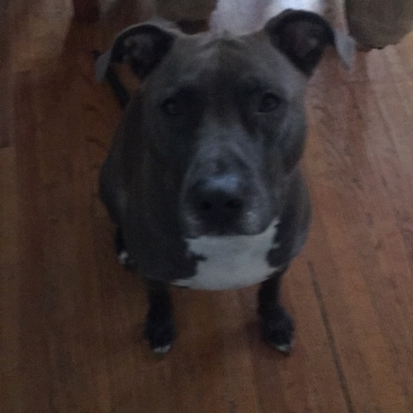 Profile Picture of Jason Souers (@jaytoy283) on Poshmark