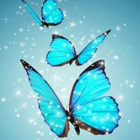 Profile Picture of Mari Enriquezon Twitter