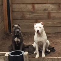 Profile Picture of Jose Renovato (@jose-renovato-1) on Quora