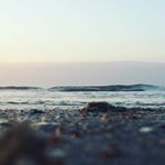 Profile Picture of Alexa Reese (@reese4848) on Instagram