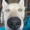 Profile Picture of nattie.watson (@@nats_pack) on Tiktok