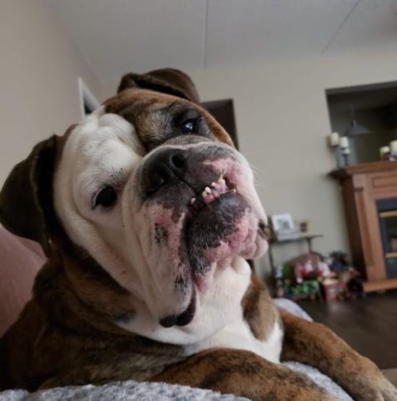 Profile Picture of Erica Sweezey (@ericasweezey2) on Poshmark