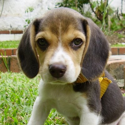 Profile Picture of Janey Matthews (@JaneyMatthews) on Twitter