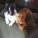 Profile Picture of Kimberly Craig Horne (@khorne196) on Pinterest