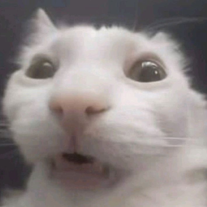 Profile Picture of Jeremy. Cons (@jeremy..cons) on Tiktok