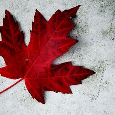 Profile Picture of John Valade (@john_valade) on Twitter