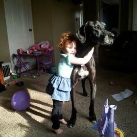 Profile Picture of Amber Rohlman (@asrohlman) on Pinterest