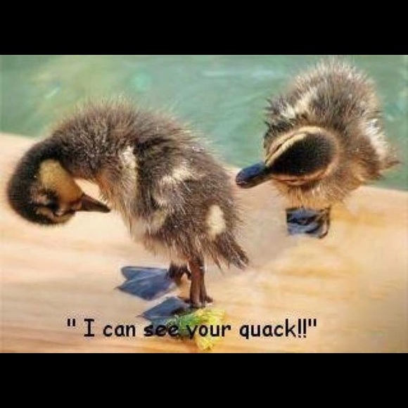 Profile Picture of Cheryl Lowe (@cheryl28032) on Poshmark