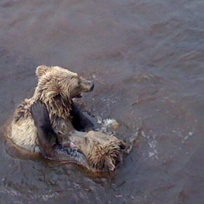 Profile Picture of Nicklas Mark (@Nicke_T) on Twitter