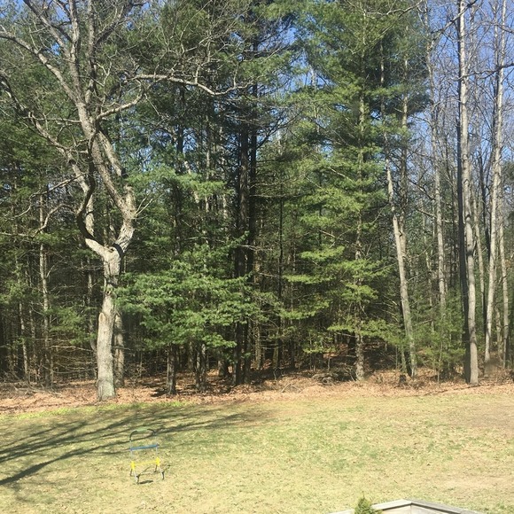 Profile Picture of Jean Hendershott (@ajhh1956) on Poshmark