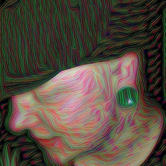 Profile Picture of Jeremy Whitney (@jerm0330) on Poshmark