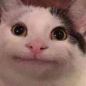 Profile Picture of Dustin Barnes (@TheDustyMedic) on Youtube