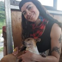 Profile Picture of Dani Carlson (@dani-carlson-9) on Quora