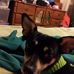Profile Picture of Cindy Dunlop (@cindy.dunlop.773) on Facebook