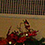 Profile Picture of Wilfredo Reyes (@wilfredo reyes papa) on Flickr