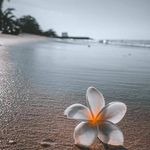 Profile Picture of Julie May Edghill Edwards (@juliemayo0709) on Instagram