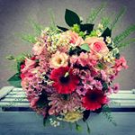 Profile Picture of Clare Barbara Burns (@clare_bear1989) on Instagram