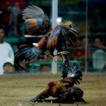 Profile Picture of Guillermo Oropeza (@memo5897) on Instagram