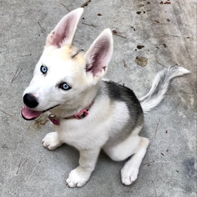 Profile Picture of Stephen Grandy (@grandy_stephen) on Twitter