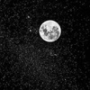 Profile Picture of لليان عمر962 (@@lillianage) on Tiktok