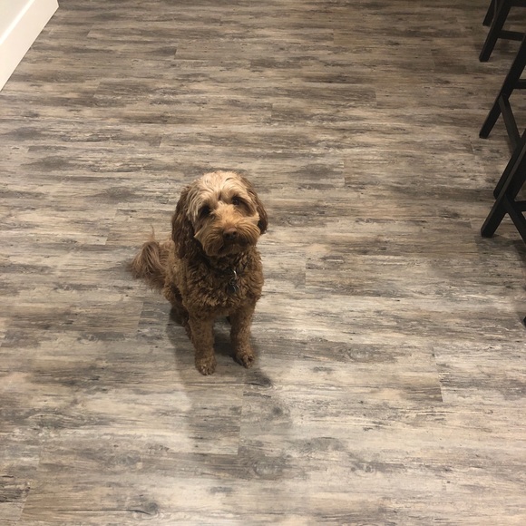 Profile Picture of Brian Harrison (@bharrison310) on Poshmark