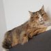 Profile Picture of Jördis Inselmann (@jrdisinselmann) on Pinterest