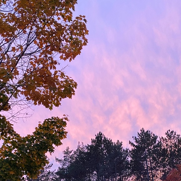 Profile Picture of Ashlynn Hederson (@ashlynnhederson) on Poshmark